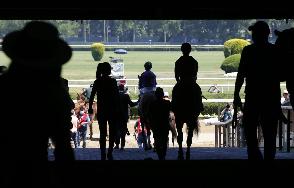 Thoroughbreds head to the track for the first race at Belmont Park on Belmont Stakes day in 2021.