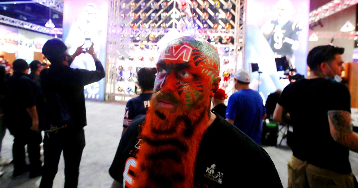 Is The Super Bowl Fan Experience Worth It? We Went To The LA Convention  Center To Find Out