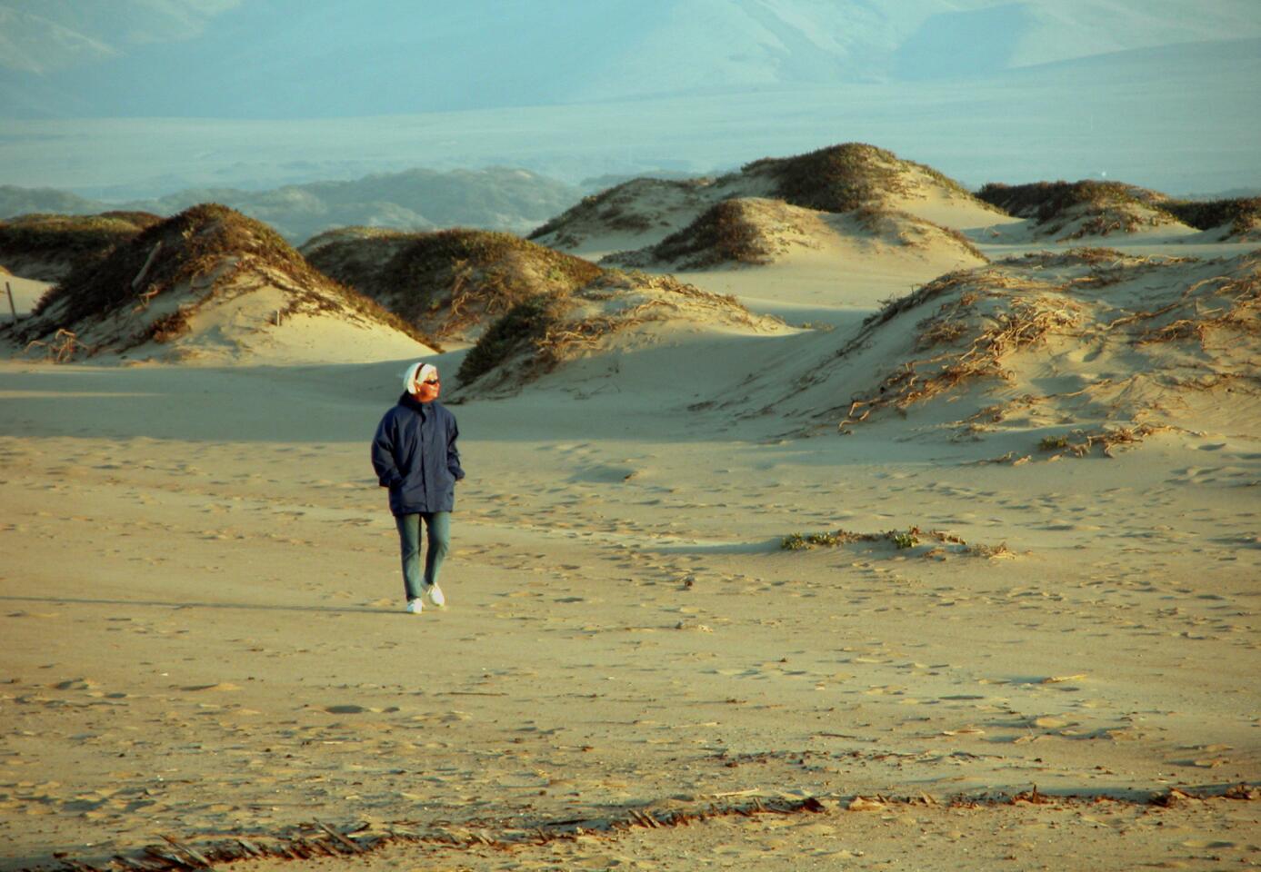 Guadalupe Dunes