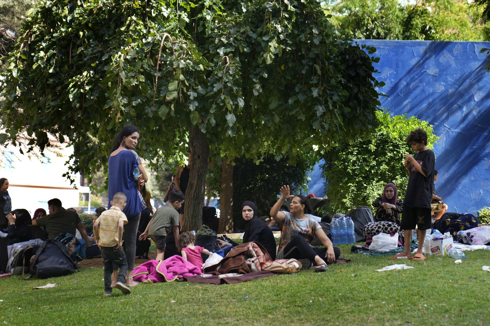 People sit on grass under a tree 