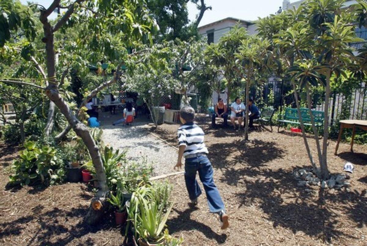 Children play in a community garden in Koreatown. 
