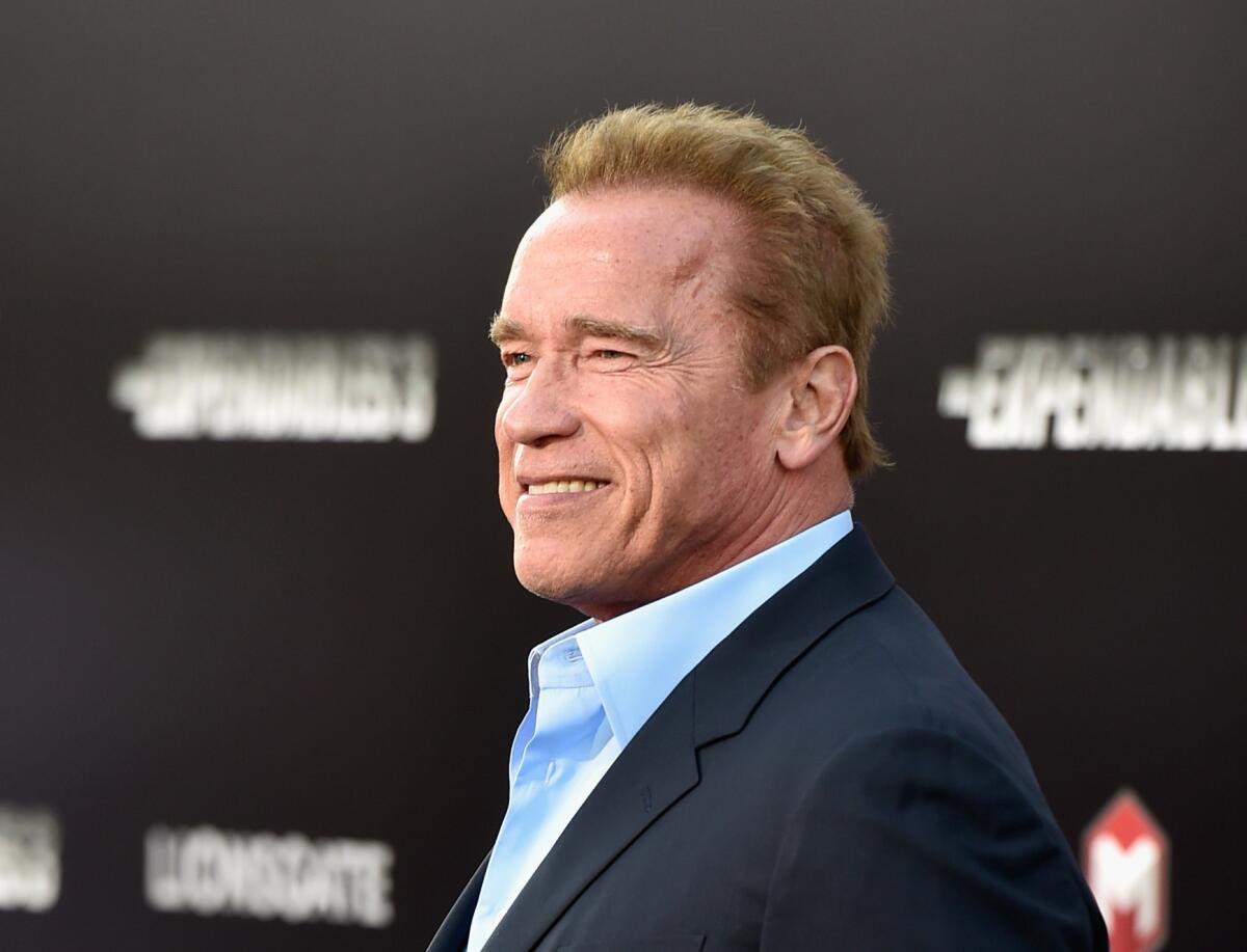Arnold Schwarzenegger, shown at the "Expendables 3" premiere in Hollywood, stars in the upcoming zombie movie "Maggie."