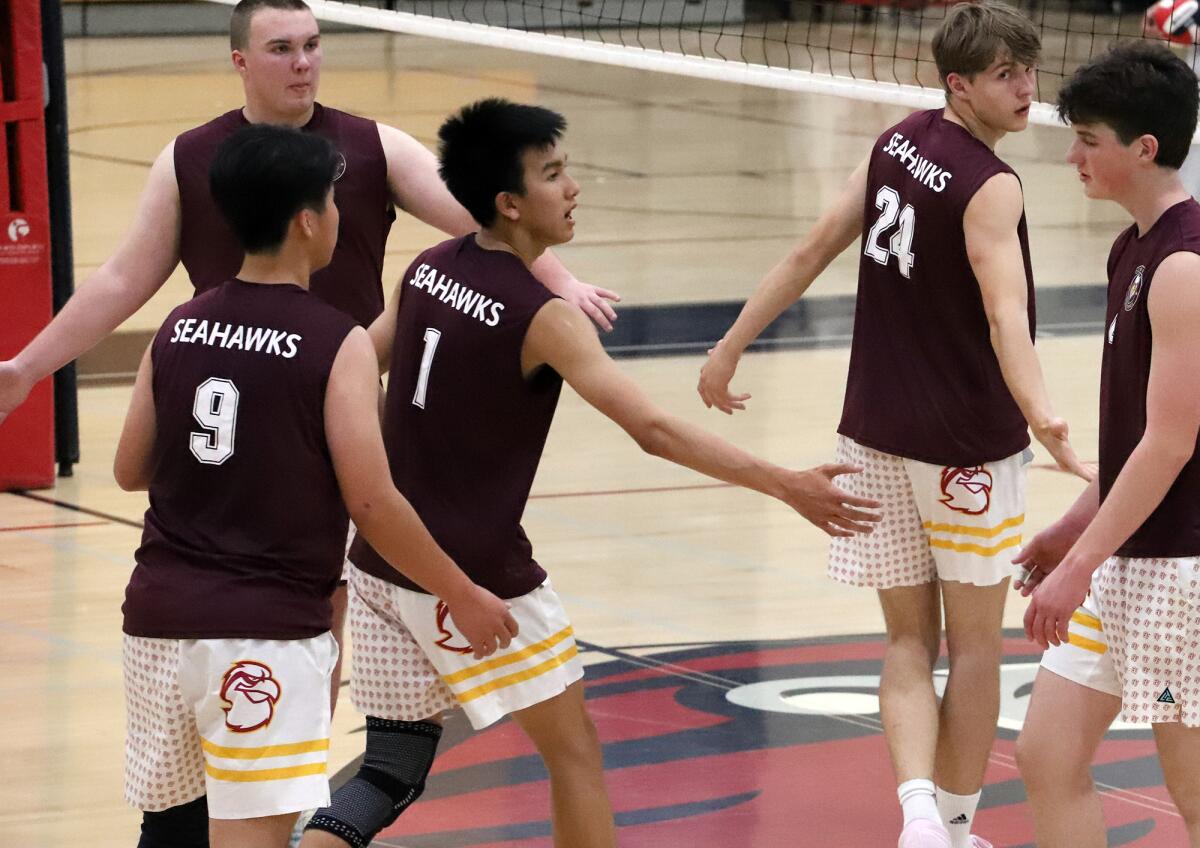 The Ocean View boys' volleyball team celebrates a point against Westminster in an Orange Coast League match on Thursday.