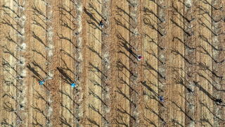 An aerial of a farm field in winter.