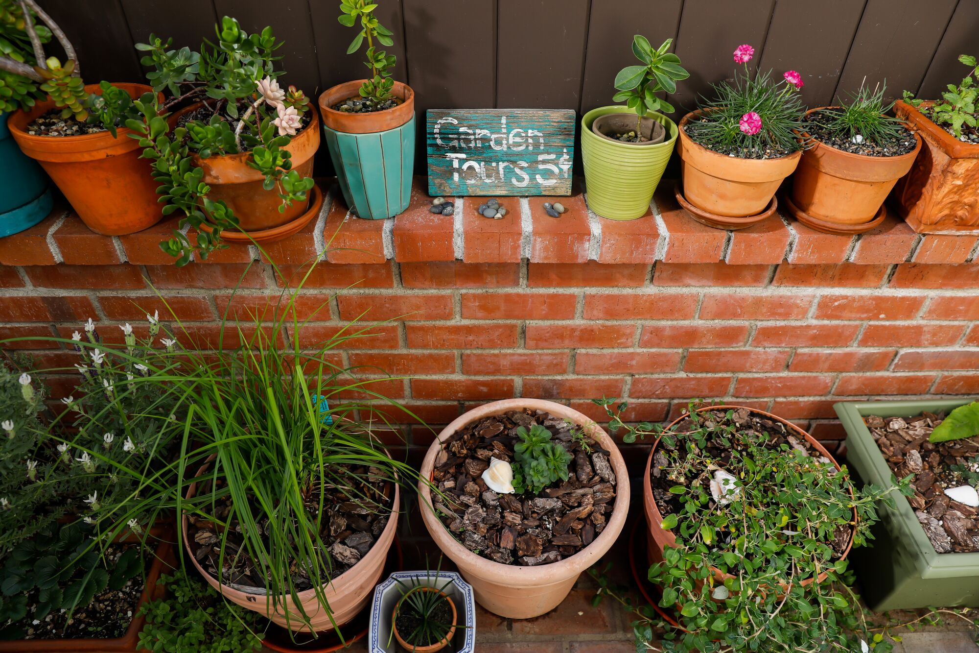 A variety of native plants in pots on top of and next to a brick wallt.