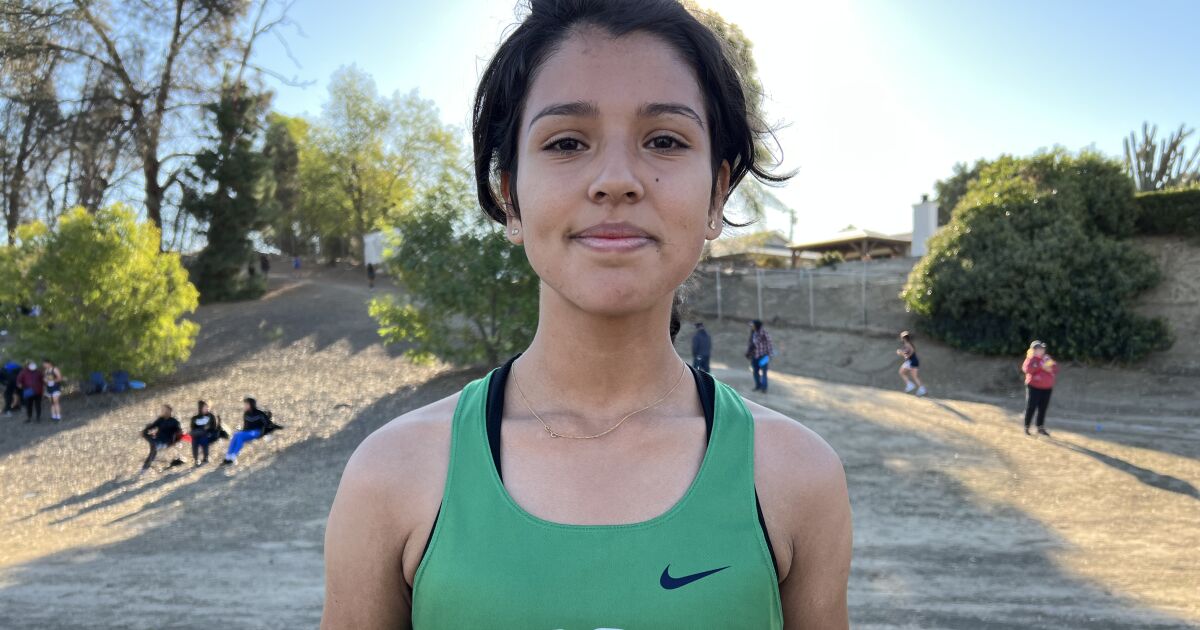 Prep notebook: Palisades, Granada Hills win titles at City Section cross-country finals