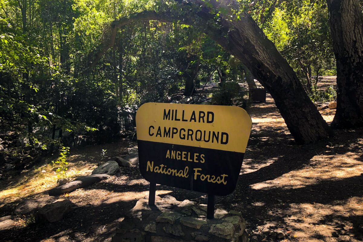 A sign for Millard Campground is surrounded by trees