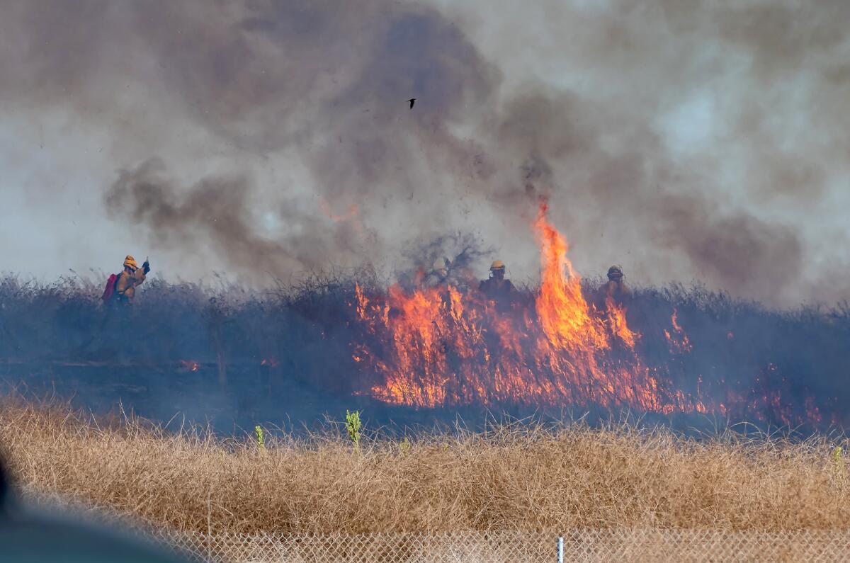 A small brush fire burns in the Bolsa Chica wetlands area of Huntington Beach.