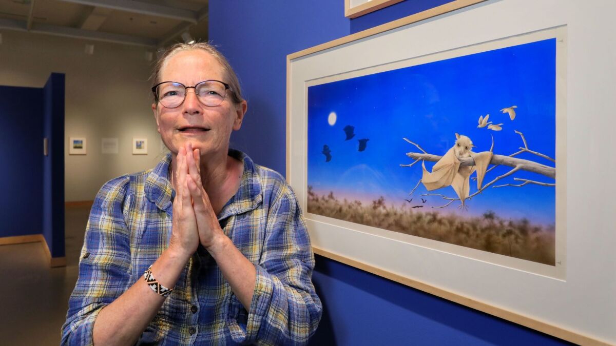 Author and illustrator Janell Cannon of Carlsbad poses with the cover art for her popular 1993 children's book "Stellaluna." All of her original artwork and text for the picture book are being exhibited this summer at the Cannon Art Gallery in Carlsbad.