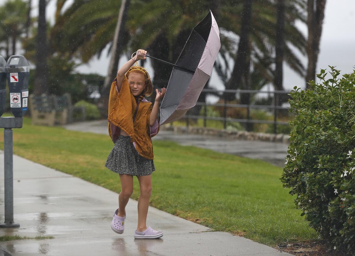 A youngster's umbrella is swept up in the gusty winds at Heisler Park in Laguna Beach.