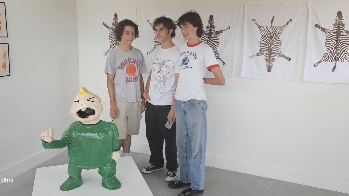 Oolong Gallery's 'NextGen North County' features San Dieguito artists - Vimarsana News