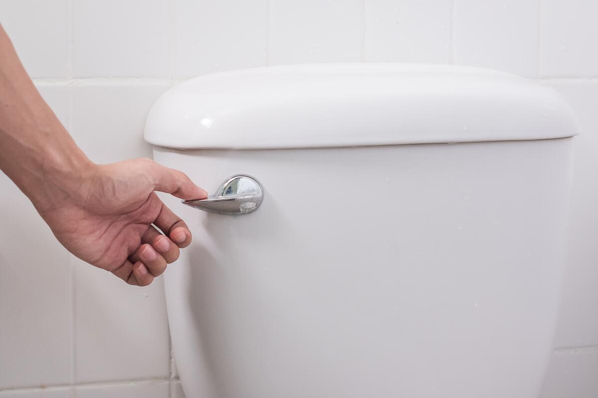 hand press and flush toilet