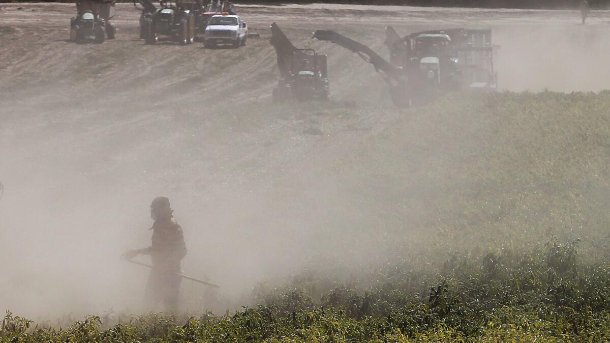 People who work in fields or construction sites where soil gets kicked up are at particular risk for valley fever, which is on the upswing this year in California.