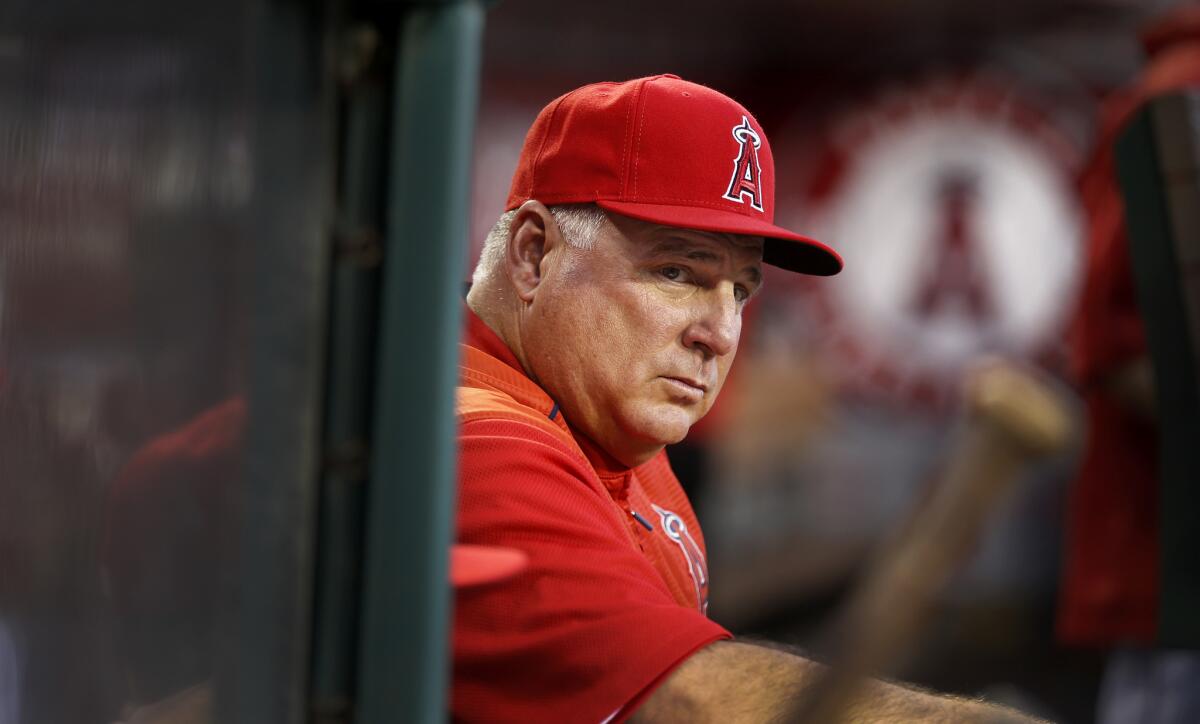 Could Angels Manager Mike Scioscia be on the hot seat soon?