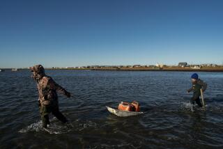 Pulling a sled with fuel containers in the lagoon, Joe Eningowuk, 62, left, and his 7-year-old grandson, Isaiah Kakoona, head toward their boat through the shallow water while getting ready for a two-day camping trip in Shishmaref, Alaska, Saturday, Oct. 1, 2022. Rising sea levels, flooding, increased erosion and loss of protective sea ice and land have led residents of this island community to vote twice to relocate. But more than six years after the last vote, Shishmaref remains in the same place because the relocation is too costly. (AP Photo/Jae C. Hong)