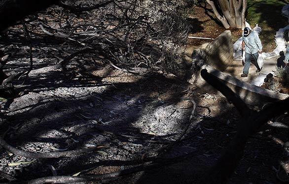 Mudslide preparation - Blackened hillside