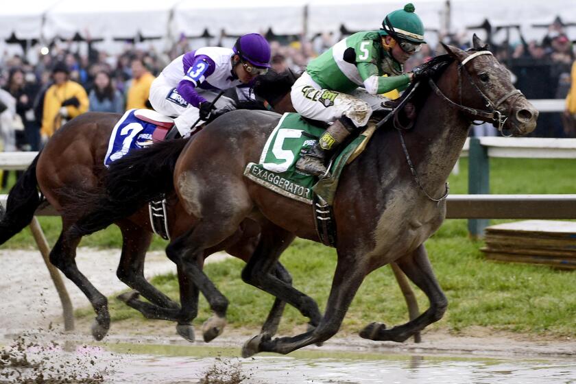 Exaggerator (5) overtakes Nyquist (3) coming out of the last turn during the 141st Preakness Stakes on Saturday at Pimlico Race Course in Baltimore.