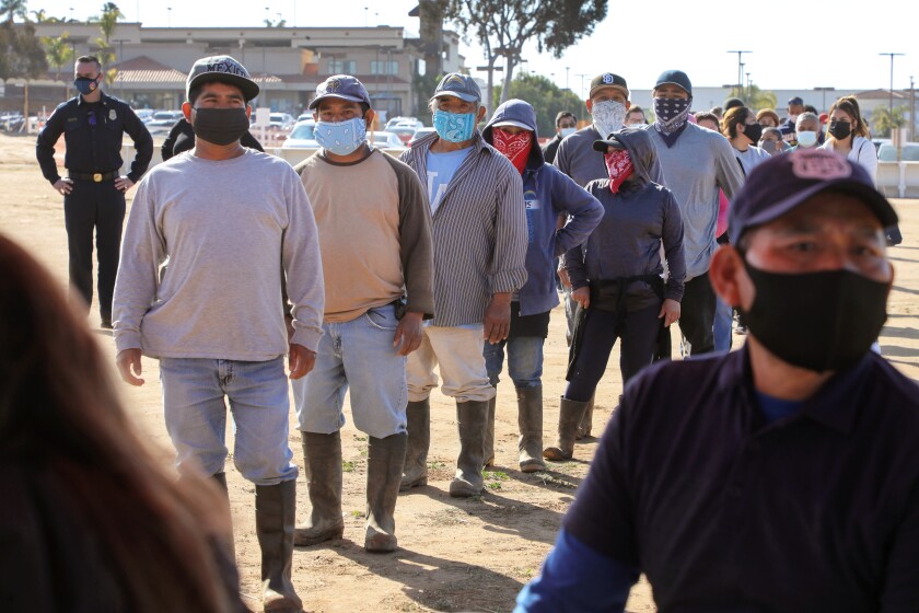Farm workers at the Carlsbad Strawberry Farm wait their turn to receive Moderna COVID-19 vaccines