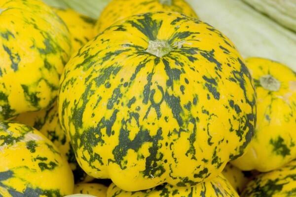 Starburst squash