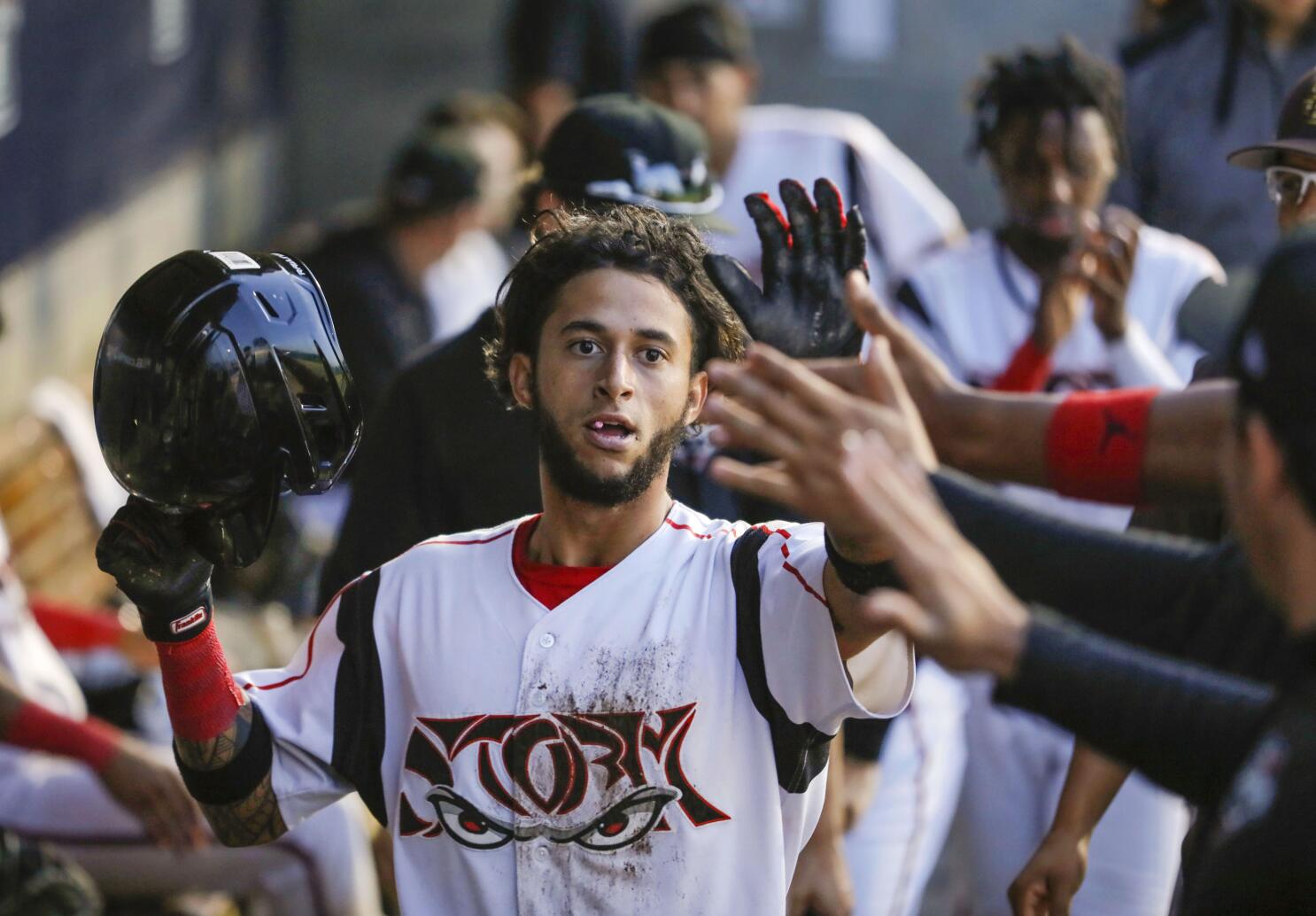 Before starring with the San Diego - Fort Wayne TinCaps