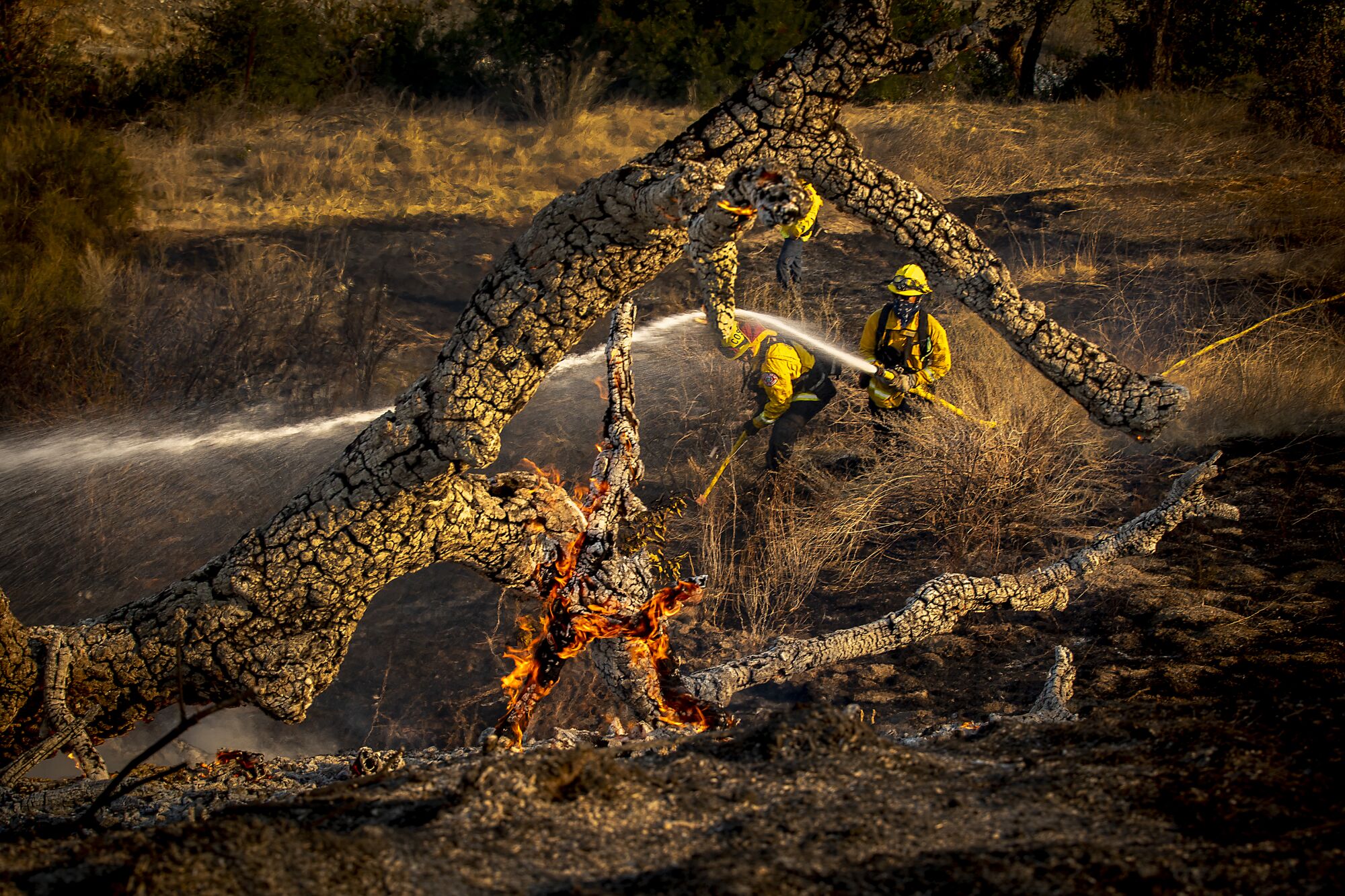 Flames burn on a charred, downed tree as firefighters in the background spray water and use hand tools