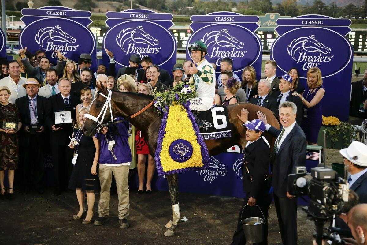 A victory in the Breeders' Cup Classic was the unlikely storybook result Saturday for Mucho Macho Man, jockey Gary Stevens and trainer Kathy Ritvo, standing in front of the horse.