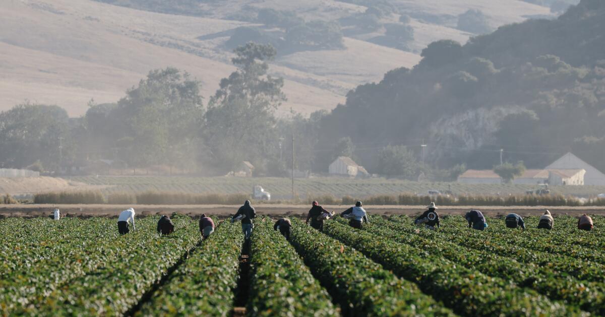 Study: Some California residents exposed to 'toxic soup' pesticides