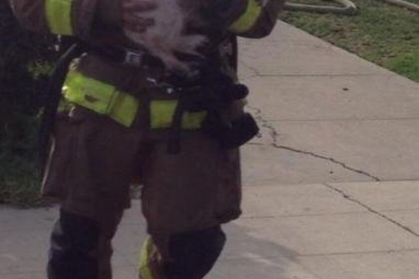 A San Diego firefighter carries one of the two dogs saved from a Point Loma house fire.