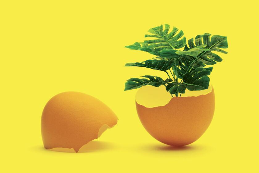 art for about making eggshell tea to feed to your plants