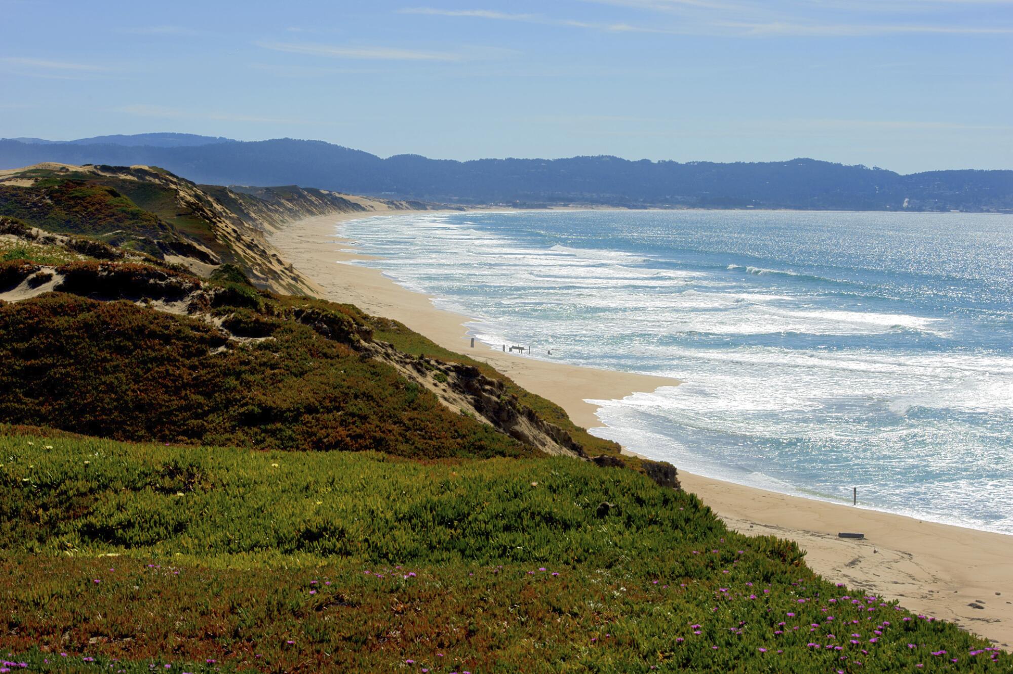 Fort Ord Dunes State Park in Sand City near Monterey.