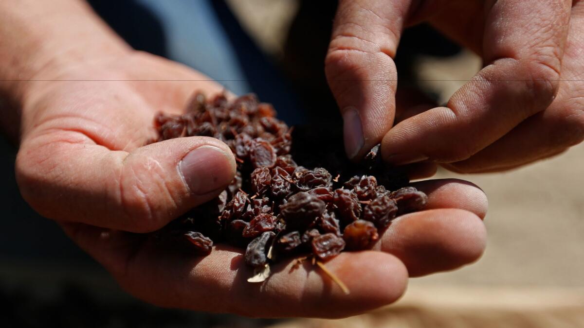 Under a federal order that’s governed the raisin industry since 1949, handlers may have to set aside part of their crop. Those raisins may be sold below fair market value for purposes such as federal nutrition programs.