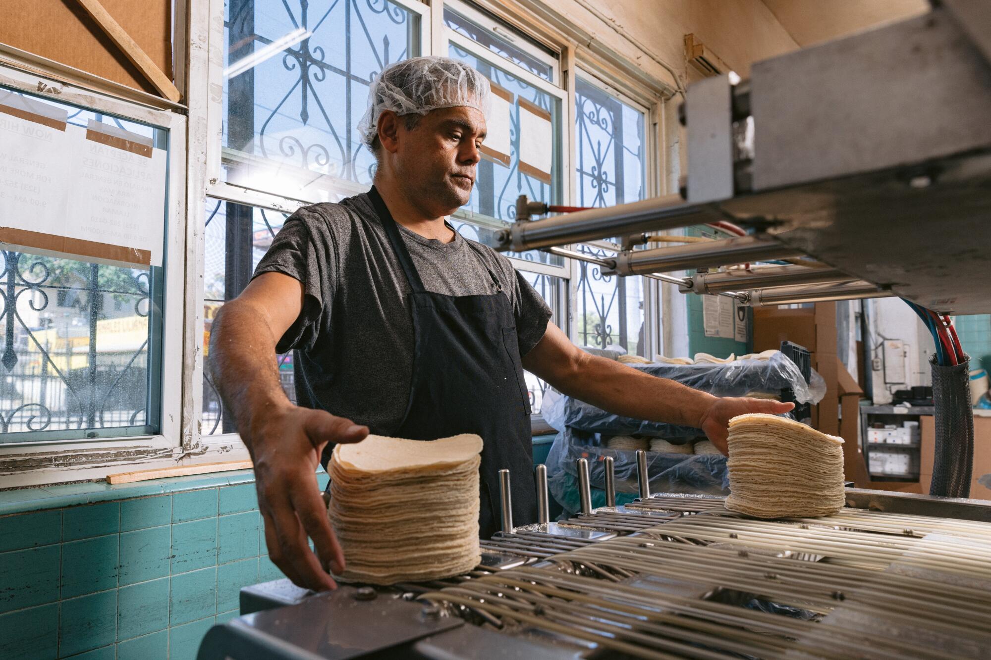 A man stands at the end of a conveyor belt, ready to grab two stacks of tortillas in front of his hands.