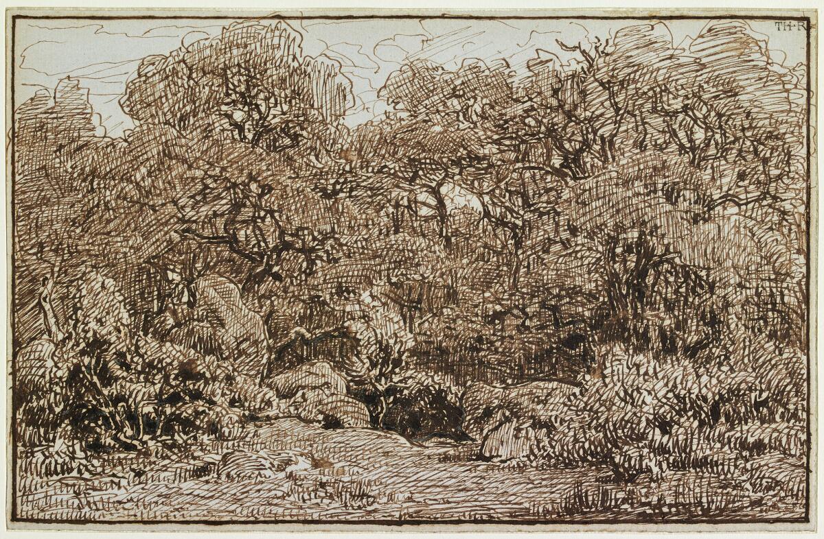 Theodore Rousseau's "Entrance to the Old Forest of the Reine-Blanche," about 1860, ink on paper. (Getty Museum)