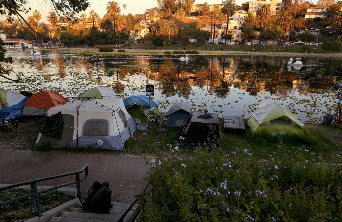 A homeless encampment on the banks of Echo Park Lake