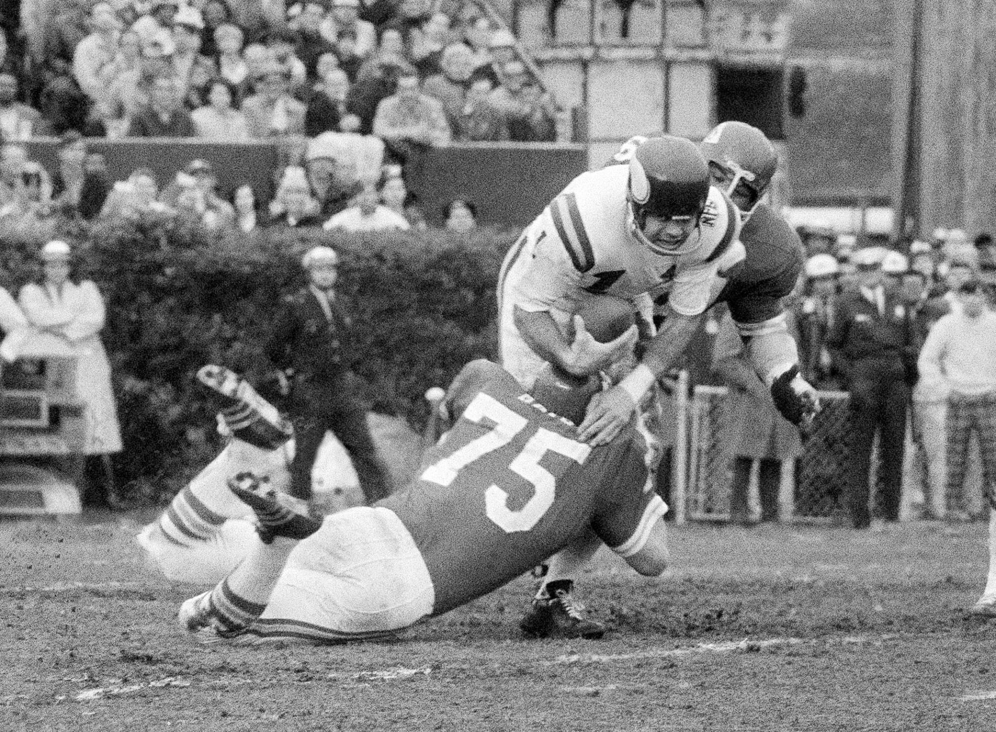 Minnesota quarterback Joe Kapp is hauled down by Kansas City's Jerry Mays and others as Kapp plunges forward.