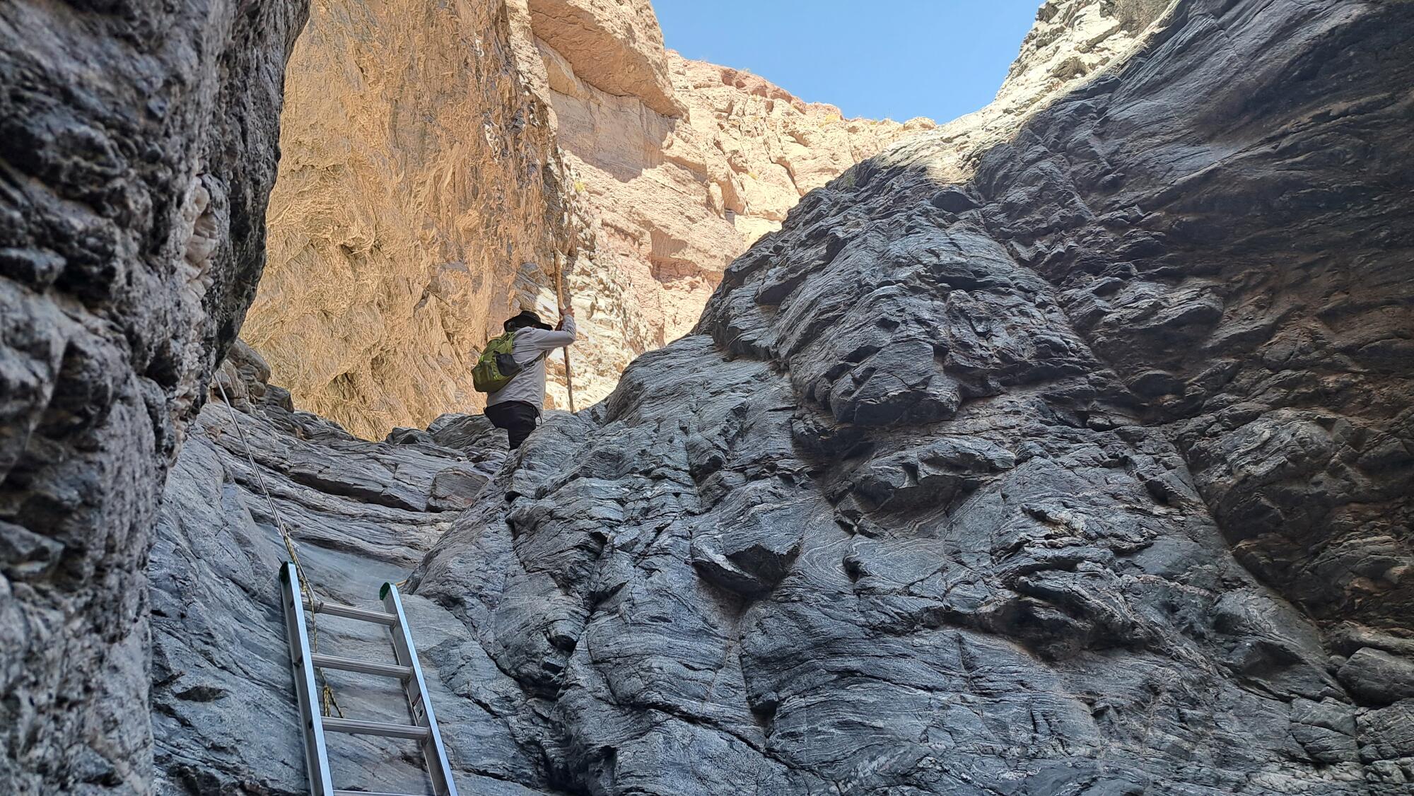 A ladder leads up a shaded cliff, where a man hikes