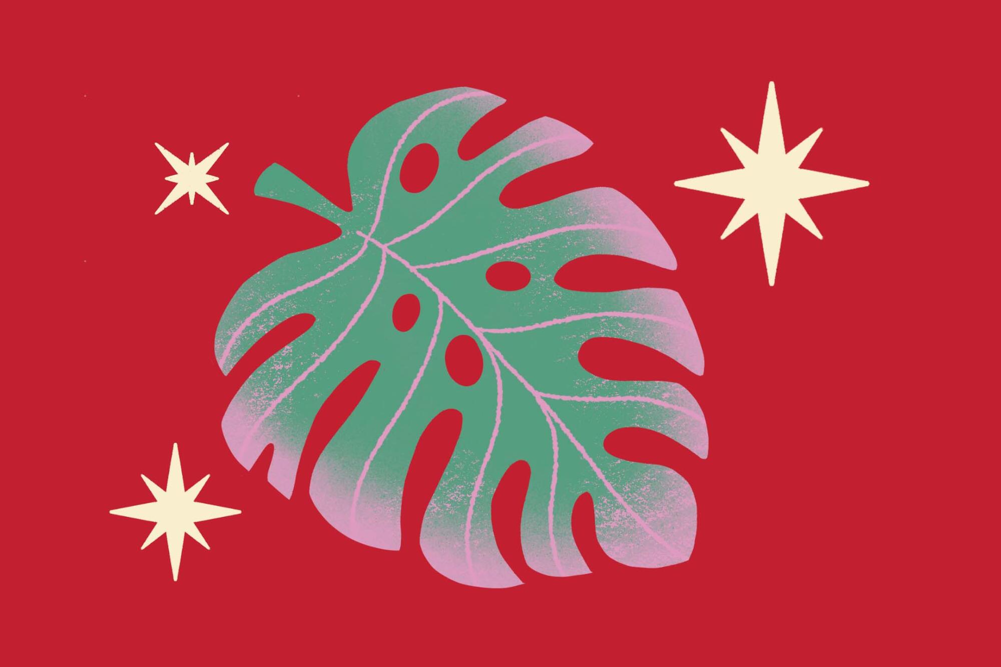 Illustration of a monstera leaf.