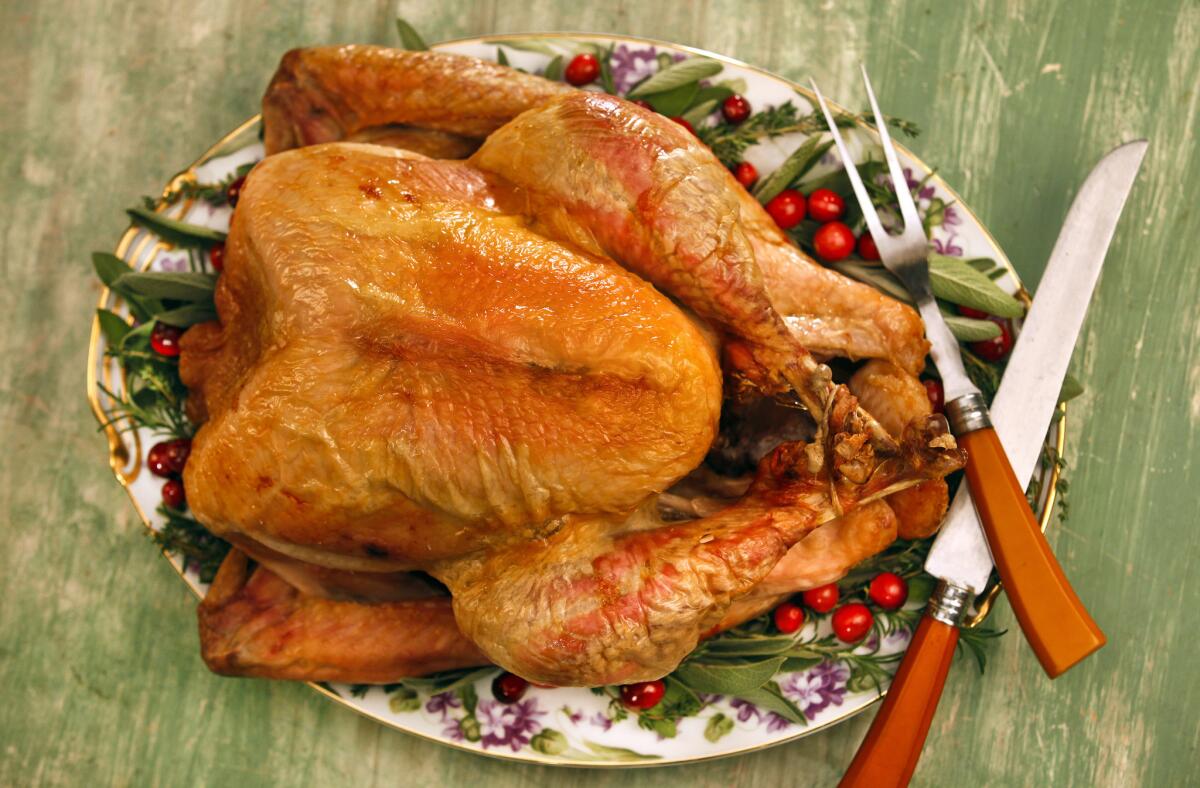 Thanksgiving dry-brined turkey