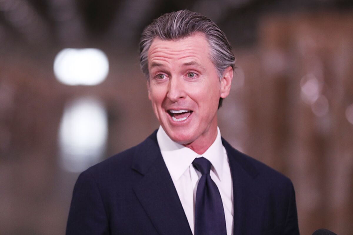 Gov. Gavin Newsom isn't one internet cat's favorite person.