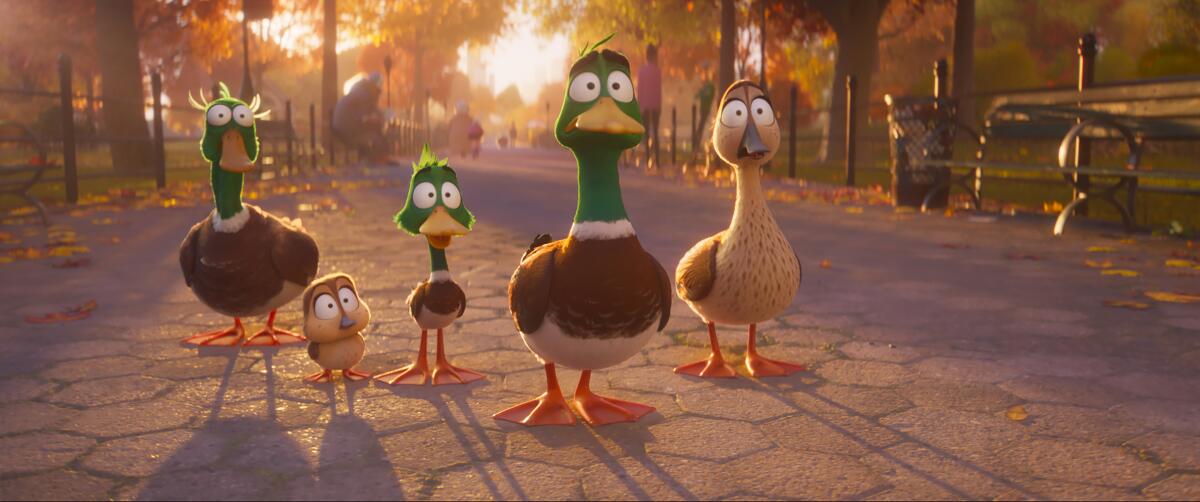 A family of animated ducks gets wide-eyed in Central Park at dusk.