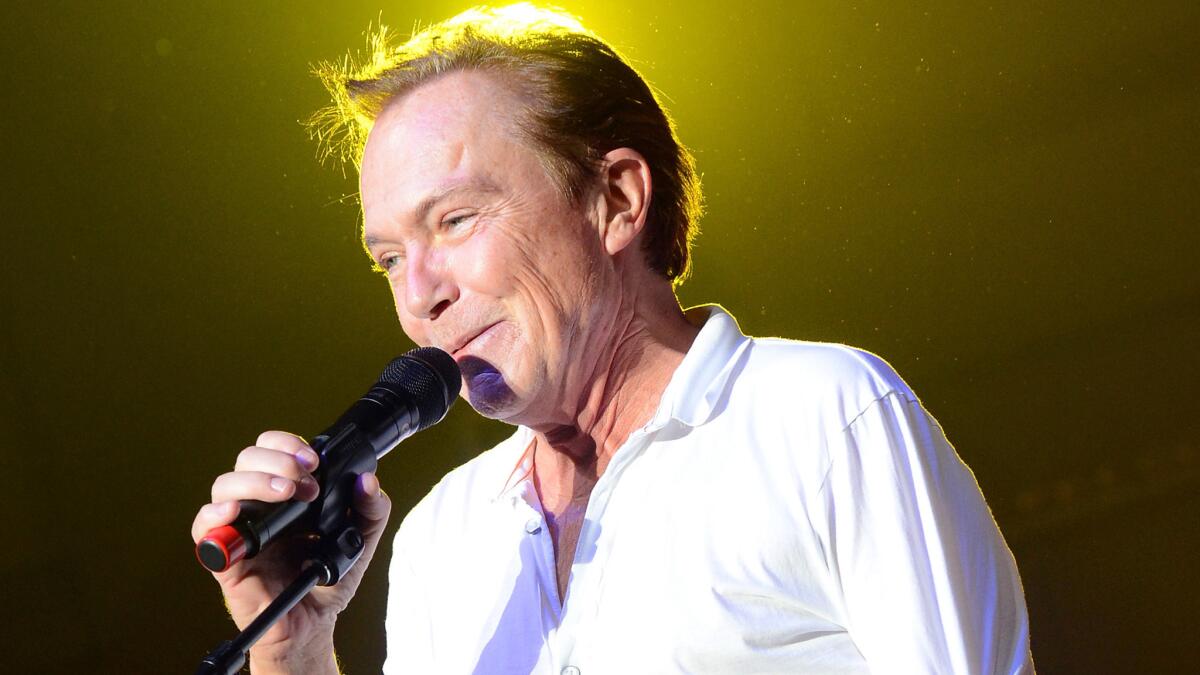 David Cassidy has filed for Chapter 11 bankruptcy in Florida.