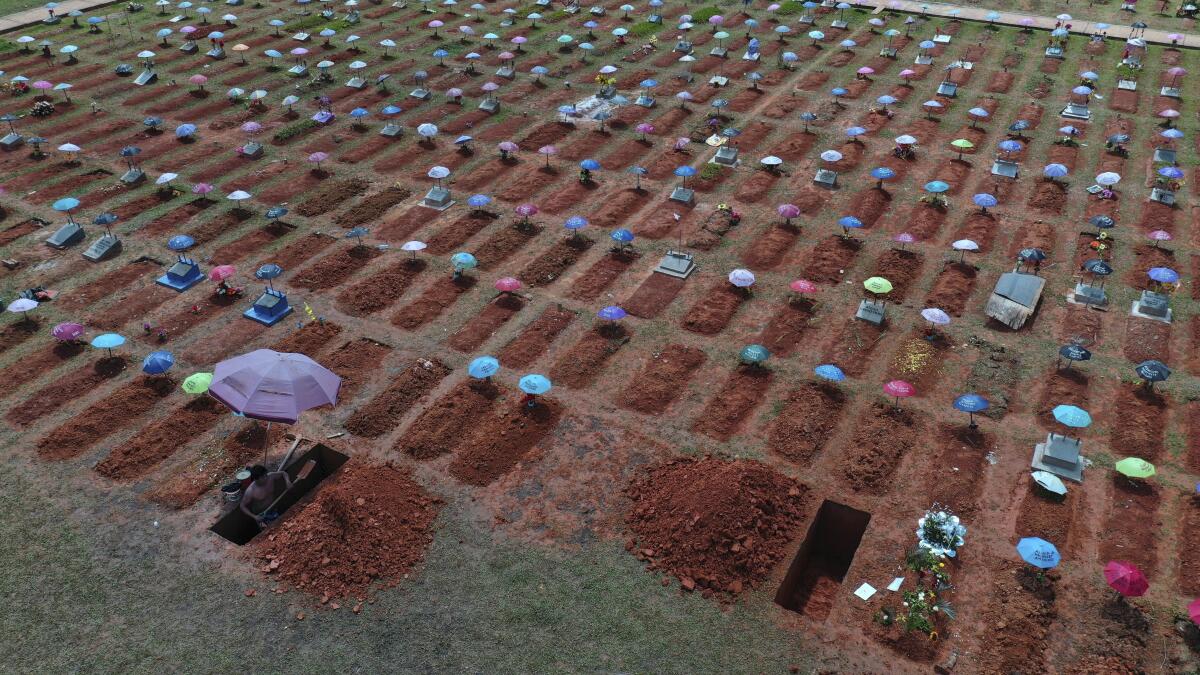 Freshly dug graves in cemetery in Peru