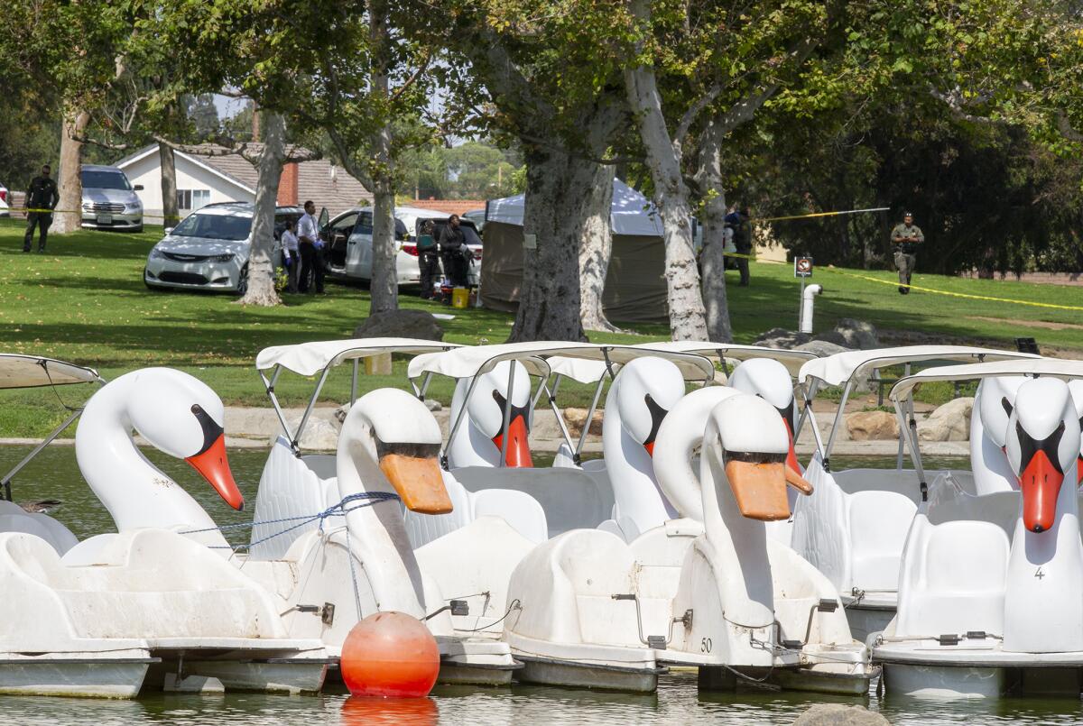 Swan boats on North Lake at Fountain Valley's Mile Square Regional Park on Friday, July 23.