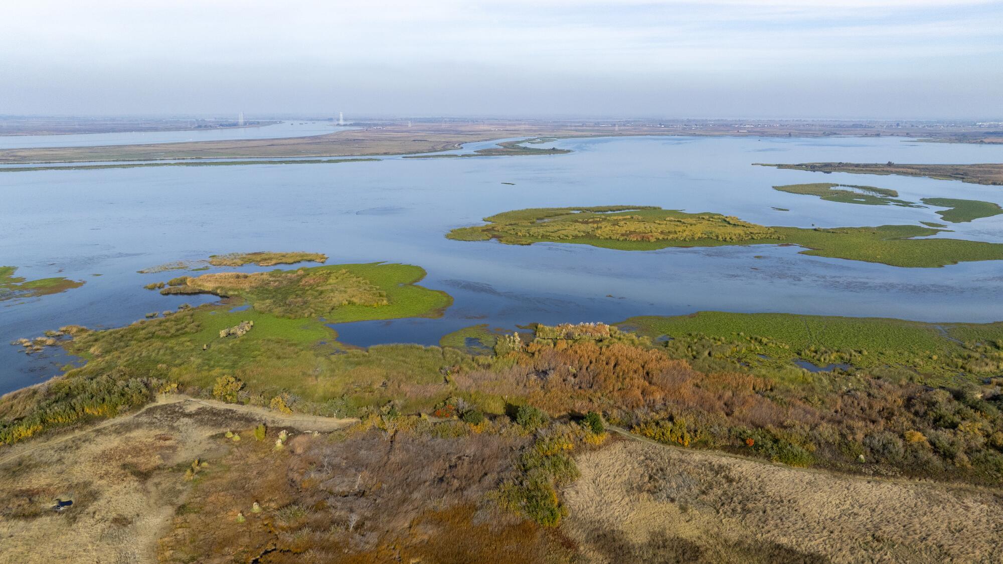 Wetlands spread along the shoreline at Big Break in the Sacramento-San Joaquin River Delta near Oakley.