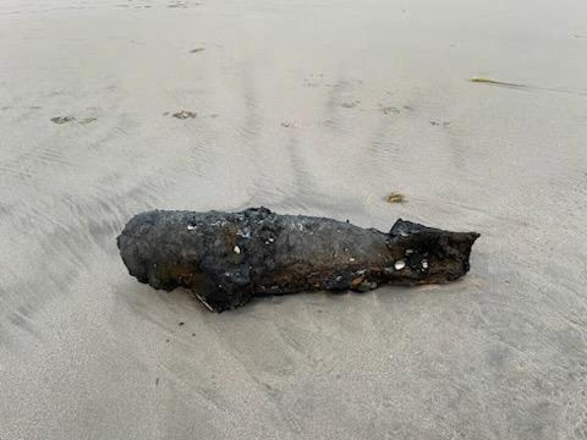 WWII practice bomb washes up on the shore of a Santa Cruz County beach WWII practice bomb washes up on the shore of a Santa Cruz County beach
