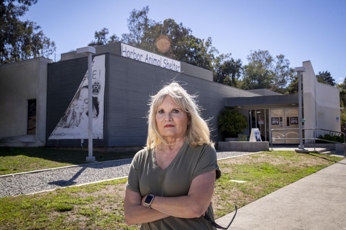 A woman stands outside a building that says "Harbor Animal Shelter"