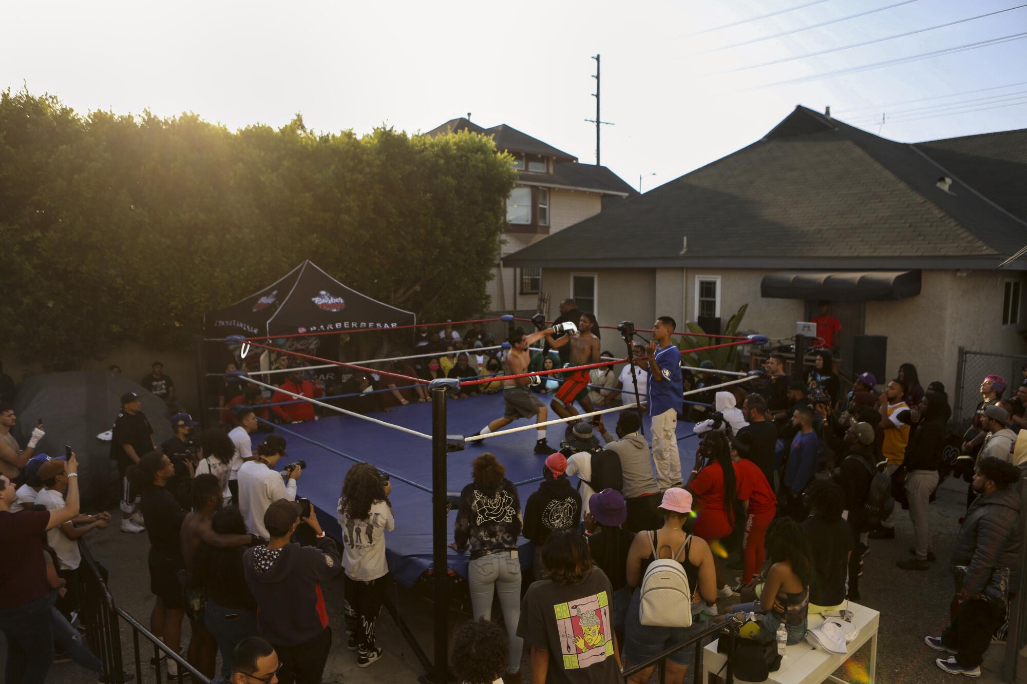 A crowd gathers around a boxing ring in a backyard. 