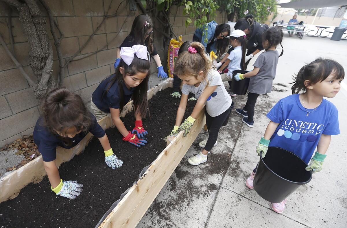 Kids from the Kinetic Academy "Green Team" pack a new wooden garden bed.