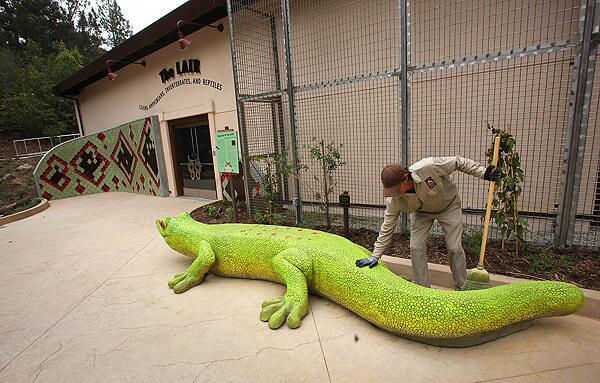 Groundskeeper Ross Hendricks spruces up at the L.A. Zoo's new "LAIR" (for "Living Amphibian, Invertebrates and Reptiles"), a new habitat and exhibit five years in the making, for its official opening.