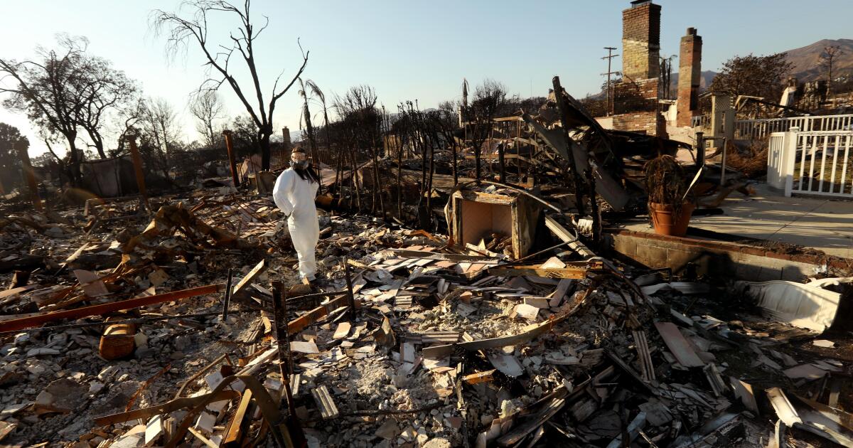 Adus, Sertleştirilmiş Evler: Yeniden Oluşturulmuş Mahalleler Nasıl Görünecek